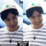 [방탄소년단] 제이홉의 숨겨진 <b>쌍둥이</b> <b>형제</b>