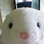[EXO] 나5살때부터좋아했던토끼<b>인형</b> 빨았는데