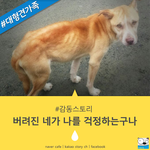 [<b>감동</b>] 버려진 네가 나를 걱정하는구나