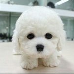 [드루와] 근데 요즘 판 재밌지 않아??