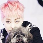 [EXO] 이제 <b>구글</b>에 엑소엠 못치겠닼ㅋㅋㅋㅋㅋ