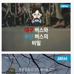 [추억팔<b>아요</b>] 대구 버스와 부산 버스의 비밀