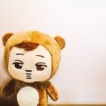[EXO] 진심 여기 곰1인이나 다른인형