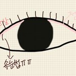 속눈썹이 <b>점막</b>에서 나요;