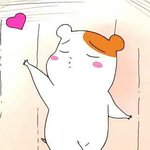 [댓글부탁해] 나처럼 대학교에 대한 환상 있는사람?