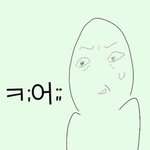 강아지 사진 프사하면 <b>찐따</b>임ㅋㅋㅋ?