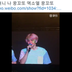 [백현] <b>홍콩</b>콘  배켜니 나 꿍꼬또 엑소엘 꿍꼬또 