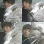 [방탄소년단] 방탄+<b>동물</b>