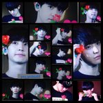 [EXO] 장미차녈 <b>한눈</b>에보기