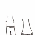 허리짧고다리길고골반없음<b>vs</b> 허리길고다리짧고골반있음