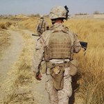 <b>무장</b>한 군인들도 고양이 앞에서는