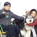 죽기 직전 자신의 밥을 나눠준 말라뮤트 