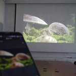 신랑과 <b>오붓</b>한 시간 많이 가지시나용