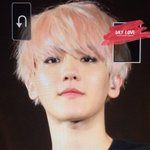 [백현] 홍콩콘 <b>조명</b>은 금칠돼있습니꽈?