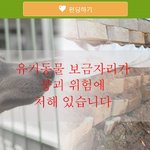 [유기견] [위시플렉스] 200여마리 유기동물 보호소 축대가 무너져갑니다...