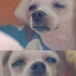 [댓글부탁해] 얘들아 나 거울봤더니