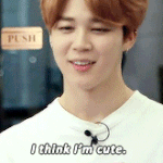 [방탄소년단] 아미들