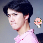 [EXO] ㅋㅋㅋ세훈이랑 <b>복숭아</b>랑닮음ㅋㅋ