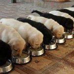 [방탄소년단] 두번 잡기 힘들테니 튕기지만 말아줘