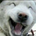 <b>최면</b>진짜걸렸닼ㅋㅋ개신기