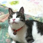 [아라] 아라..자랑하고 싶어서요.. 하하 ㅋㅋ