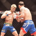 한국 이종격투기계에 혜성같이 등장한 김승연