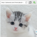 [고양이] 냥이의 <b>역변</b>