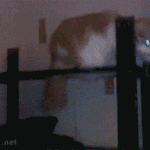 [수호] 그래 대 세다 임마