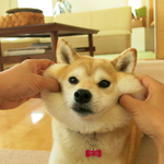 [댓글부탁해] <b>볼살</b>대결하자