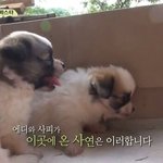 [EXO] <b>에디</b> 사피✌