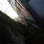 [드루와] 다들 동네 사진 올려보자