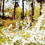 [BTOB] 뒷북주의) 타이틀곡도 아닌주제에 좋은 노래