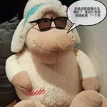 [레이] 역시조련왕님이십니다 