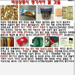 이거알지??전쟁대비법