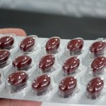 panax pharm polikrill 