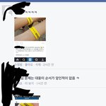 [댓글부탁해] 페북보는데 존나 <b>사이다</b>인 댓글봄