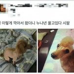 [댓글부탁해] 야 <b>큰일</b>났어 나 남친이랑 찜질방가는데 제발 들어와줘