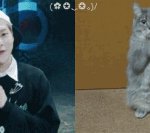 [EXO] 트위터 알계