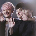 [EXO] <b>고등어</b>즈 짤줍