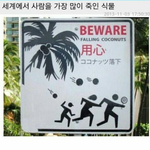 사람을 죽인 <b>식물</b>
