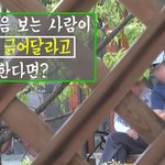 [이것좀봐줘] 처음보는 사람에게 등을 긁어달라고 한다면? (등긁남)
