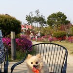 추가))<b>포</b><b>메</b>앤비를 소개해요