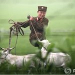 [북한<b>도발</b>] 실시간 북한군들의 반응