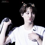 [카이] 방금 <b>분양</b>받은 카냥이..