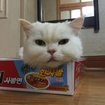 울 애기들~~