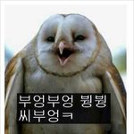 [드루와] 너네 한번씩은 해보지않음?ㅋㅋㅋㅋㅋ