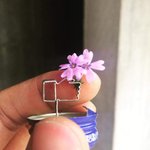 [댓글부탁해] ㅋㅋㅋㅋ첫사랑ㅋㅋㅋㅋ