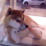 [댓글부탁해] 친구문제로고민인사람 커몬베붸