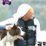 [댓글부탁해] 지디 <b>움짤</b>에 나온 <b>이</b> 개 종 아시는분