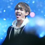 [방탄소년단] 베톡에 아미들 이거 읽어봐 글보고